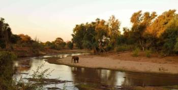 5 Days South Africa - Kruger Adventures Tour