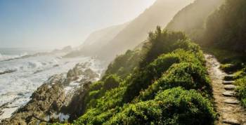 12 Days South Africa - Garden Route Plus Addo Elephants Tour