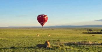 Balloon Safari In The Masai Mara - Main Reserve Tour
