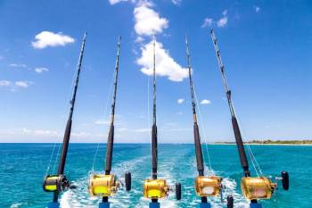 Deep Sea Fishing - 22 Ft Boat - Half Day Tour