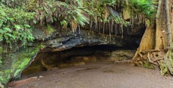 Visit Karura Forest In Nairobi Tour