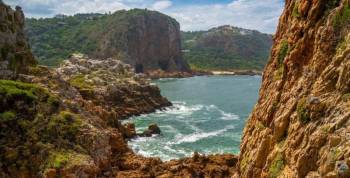 Eco-Experience At Featherbed Nature Reserve Tour