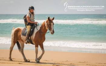 Beach And Bush - Horse Riding In St Lucia Tour