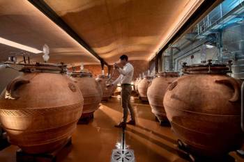 Babylonstoren Cellar Tour And Wine Tasting Tour