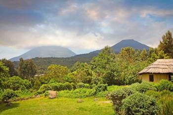 Hiking The Virunga Volcanoes In Mgahinga Gorilla National Park Tour