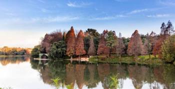 Visit The Johannesburg Botanical Garden Tour