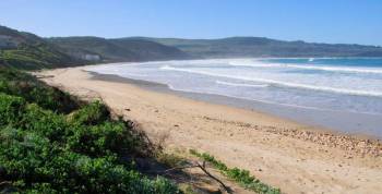 Buffalo Bay Near Knysna Tour