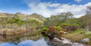 Visit Table Mountain Tour
