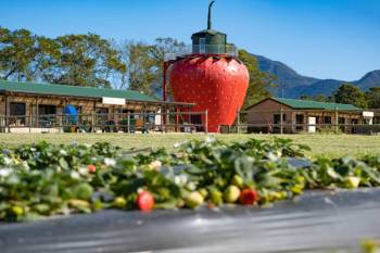 Lunch At Redberry Farm Tour