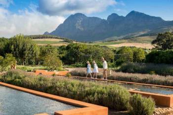 Guided Garden Walk At Babylonstoren Tour