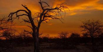 Sleep Under The Stars On The Makgadikgadi Pans Tour