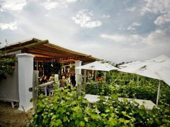 Wine Tasting And Lunch At Bramon Wine Estate Tour