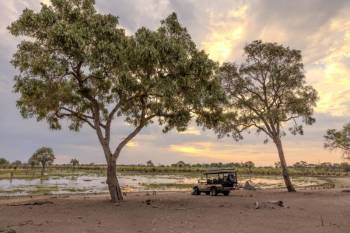 Game Drive In The Khwai Community Concession Tour