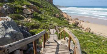 Robberg Nature Reserve Tour