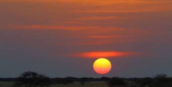 Day Trip To Nxai Pan National Park