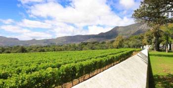 Cellar Visit Including Wine Tasting At Groot Constantia Tour