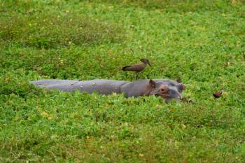 3-Day Fly in Luxury Enjoyable Honeymoon