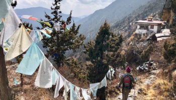 7N - 8D Druk Path Trek Tour
