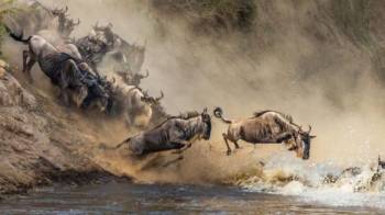 7 Days Kenya Safari Tour