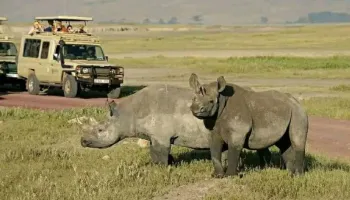 2 Day 1 Night Tanzania Tour