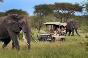 4 Night 5 Days Tanzania Classic Safari