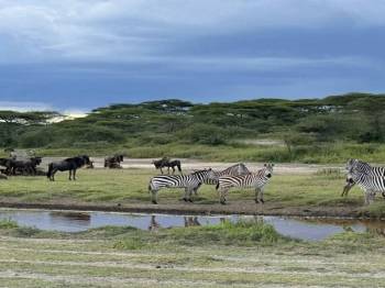 4 Night 5 Days Tanzania Classic Safari