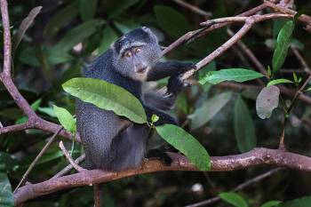 3 Days Tanzania Safari - Luxury Tour