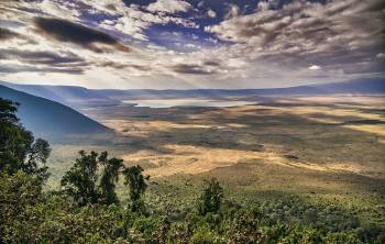 5 Days Tanzania Safari Mid-Range Tour