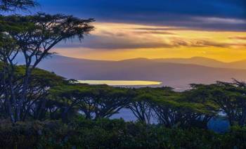 10 nights 11 Days Serengeti Special - 5* Accommodations