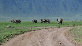 10 nights 11 Days Serengeti Special - 5* Accommodations