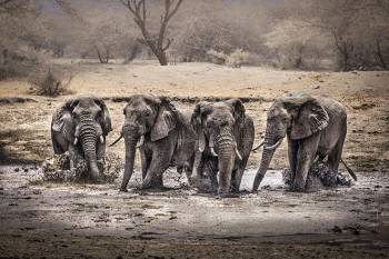 10 NIGHTS 11 DAYS SERENGETI SPECIAL 4* ACCOMMODATIONS