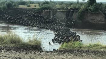 11 Nights 12 Days - River Crossing & Zanzibar