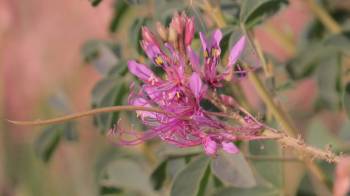 11 Nights 12 Days - River Crossing & Zanzibar