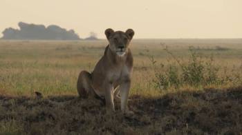 11 Nights 12 Days - River Crossing & Zanzibar