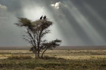 11 Nights 12 Days - River Crossing & Zanzibar