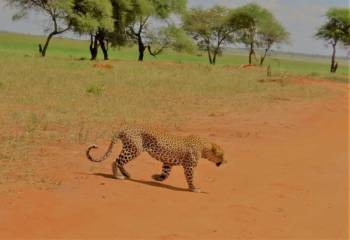 11 Nights 12 Days - River Crossing & Zanzibar