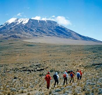 Kilimanjaro - Lemosho Route - 8 Days Tour