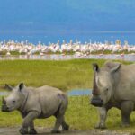 Kenya And Northern Tanzania Best Tour