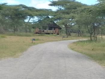 12 Nights 13 Days Northern Tanzania Including Lake Victoria Tour