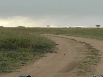 14 Days 13 Night Safari And Pangani Beach Tour