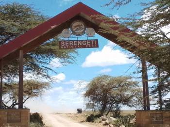 9 Nights 10 Days Serengeti And Zanzibar Tour