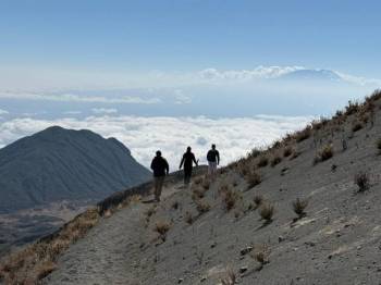 Lemosho Route - 8 Days Tour