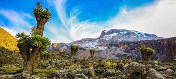 Lemosho Route - 7 Days Tour