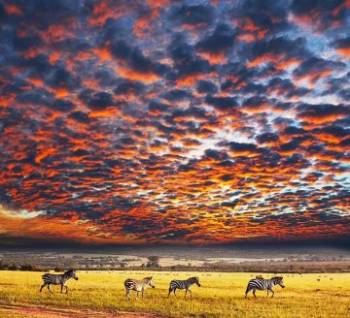 Ngorongoro Tour Packages