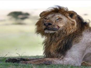 Ngorongoro Tour Packages