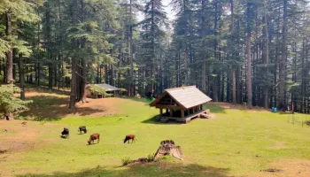 Jibhi - Tirthan Valley Trip Package From Delhi