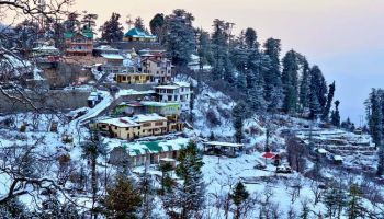 Kasauli School Trip 2 Night - 3 Days