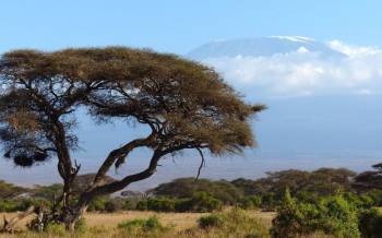 3 Days Nairobi Safari To Amboseli And Tsavo West Tour
