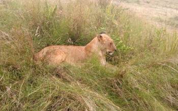 Samburu Tour Packages