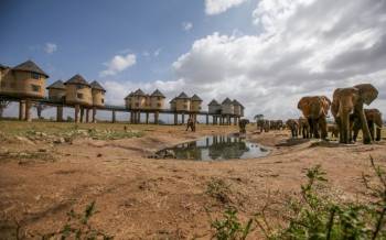 Taita Taveta Tour Packages